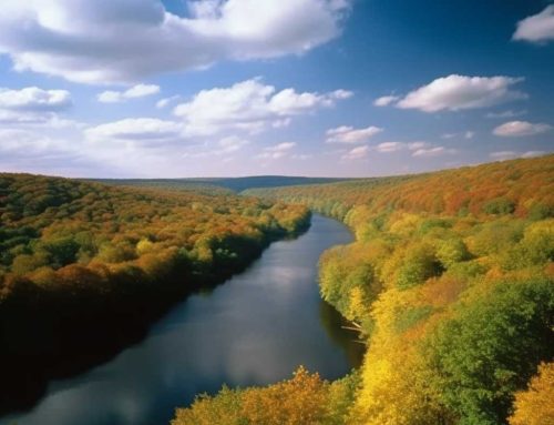 Elevate Your Web Design Game in the Poconos